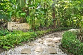 Songbirds Rainforest Retreat